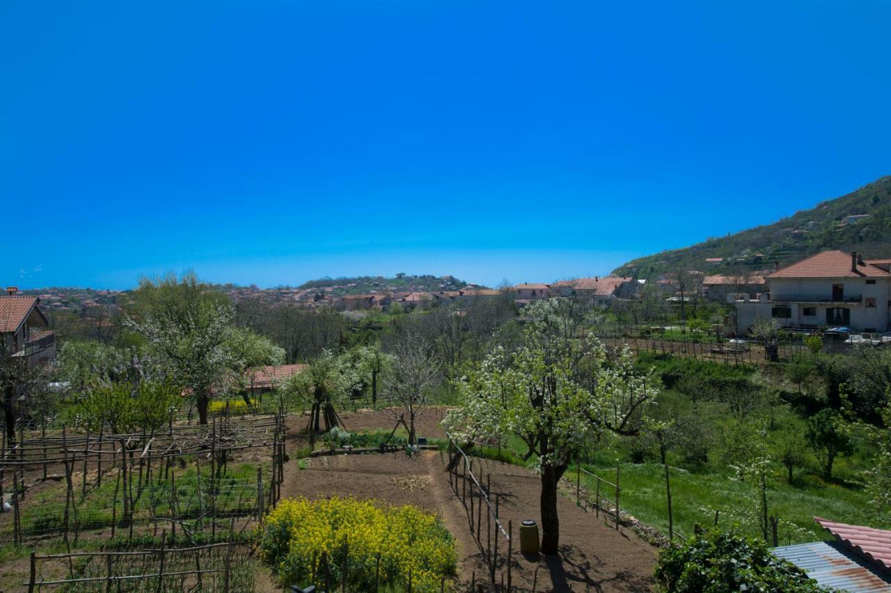 Al Cortile Di Nonno Luigi Villa Agerola Ngoại thất bức ảnh